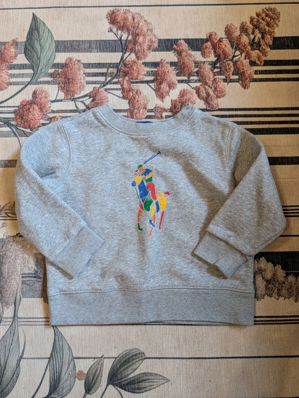 Polo by Ralph Lauren Gray Sweatshirt with Multicolor Polo Player